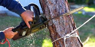 Best Lawn Irrigation Installation and Maintenance  in Spurgeon, TN